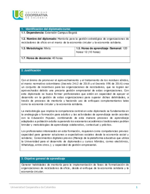 Programa_diplomado_Mentores.pdf