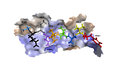 CPC52 HYDROPHOBICIDAD.tif