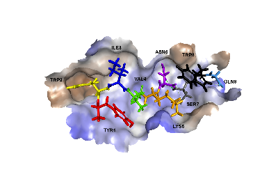 CPA316 HYDROPHOBICTY.tif